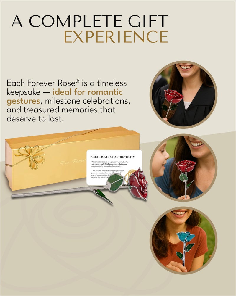 Forever Rose Real Red Rose with Platinum Trimmed Petals and Platinum Stem, Handcrafted Preserved Rose in Luxury Gold Gift Box, Romantic Gift for Her, Elegant Gift for Any Occasion - Image 5